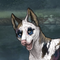 Buff|female|piebald torn Headshot