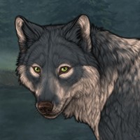 Wolf Headshot