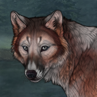 Wolf Headshot