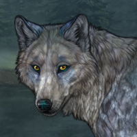 Finisher Stormfur Headshot