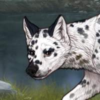 G2 Grulla Dalmatian Headshot