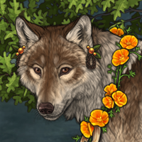 Wolf Headshot