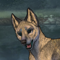 Enclave Puppy Headshot