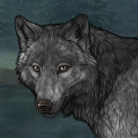 Wolf Headshot