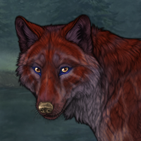 Ikiaq (Red Spruce) Headshot