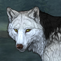 Wolf Headshot