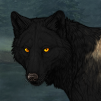 Wolf Headshot