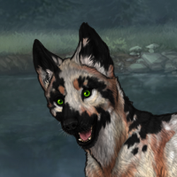 Pointed + whitetailspots Headshot