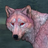 Pinkpelt Headshot