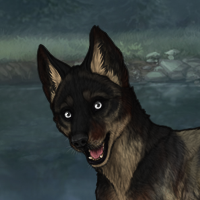New Puppy Headshot