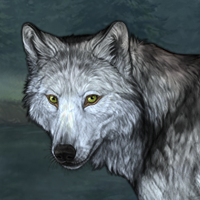 Wolf Headshot