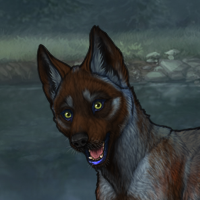 pup with T3+ markings Headshot