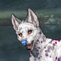 642 dalmatian Headshot