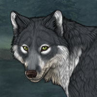 Wolf Headshot