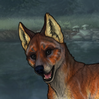 T3 Fox Headshot