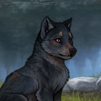 Blueschist Headshot