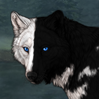 Ca'ihrou Puppy Headshot