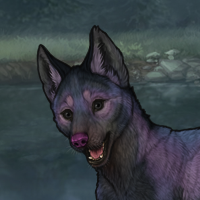 Blueschist Headshot