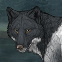 Wolf Headshot