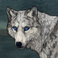 Kelpie Headshot