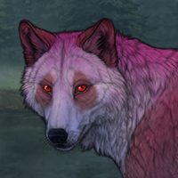 Wolf Headshot