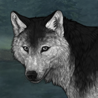 Wolf Headshot