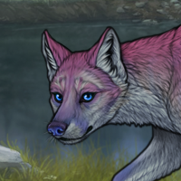 Frostpelt Headshot