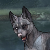 Blueschist Headshot