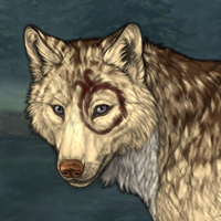 Wolf Headshot