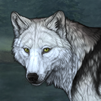 Wolf Headshot