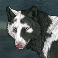 Piebald: Uneven Headshot