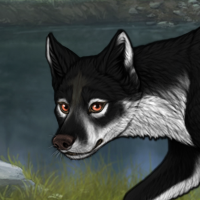 Hexe Moonshine Headshot