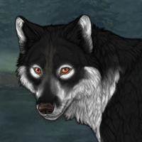 Hexe Moonshine Headshot