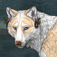 Wolf Headshot