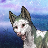 Piebald Frontal F Headshot