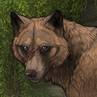 Mabon Headshot