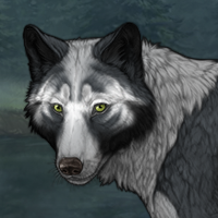 Wolf Headshot