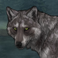 Úlfur Headshot