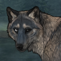 Wolfy Headshot