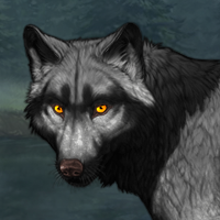 Wolf Headshot