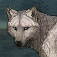 Tundra Headshot