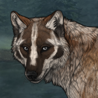 2g badger female Headshot