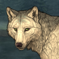 Wolf Headshot