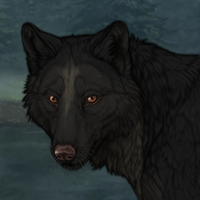 Wolf Headshot