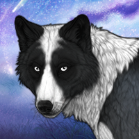 Vanta Headshot