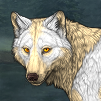 Wolf Headshot