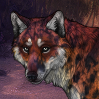 ᶜPainted Sky Headshot