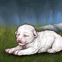 New Puppy - Albino protec Headshot