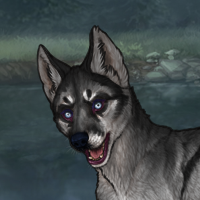 Husky Argent Headshot