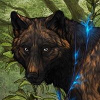 Wolf Headshot